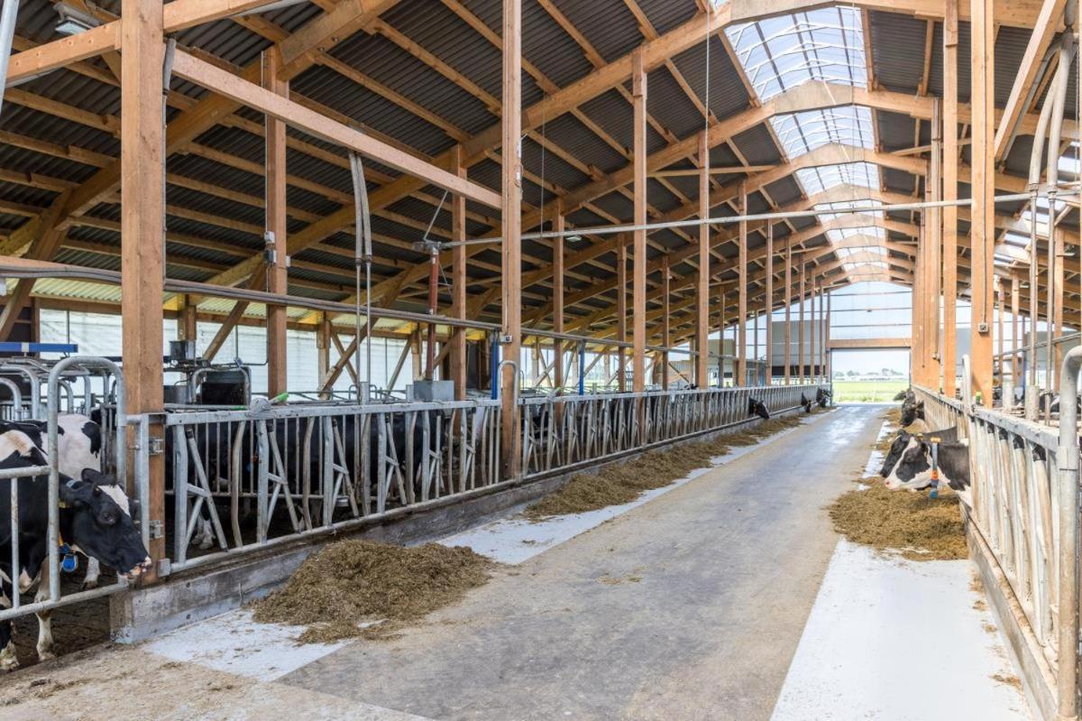Apartamento Friesenhof Janssen - Urlaub Auf Dem Bauernhof Neuharlingersiel Exterior foto