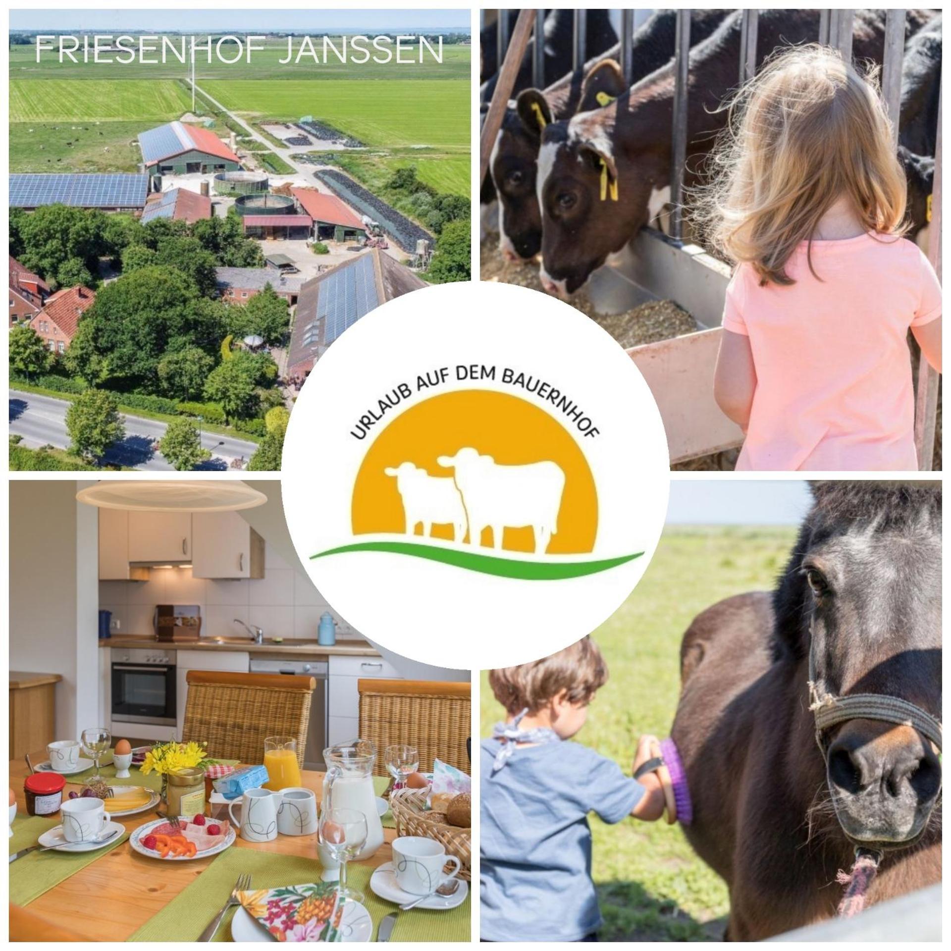 Apartamento Friesenhof Janssen - Urlaub Auf Dem Bauernhof Neuharlingersiel Exterior foto